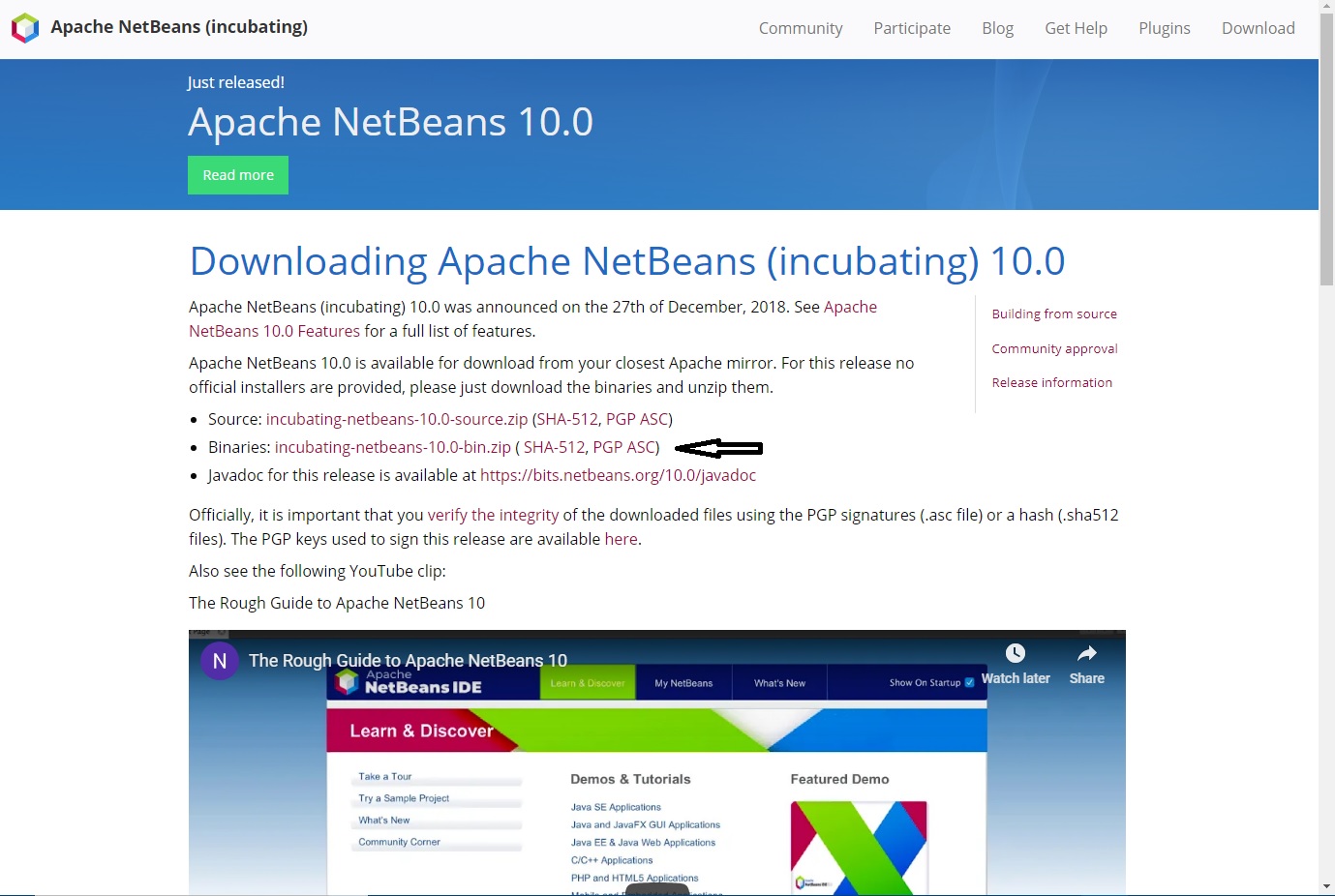 Netbeans download Binaries